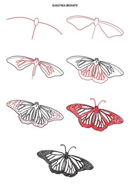 Этапы рисования бабочки