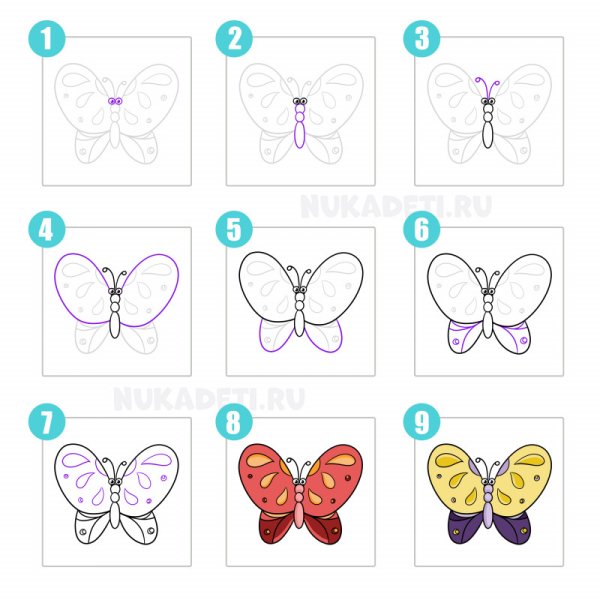 Поэтапное рисование бабочки