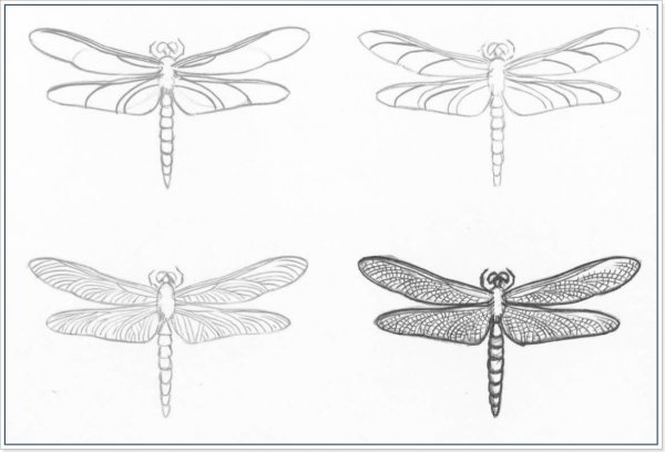 Объемная бабочка карандашом