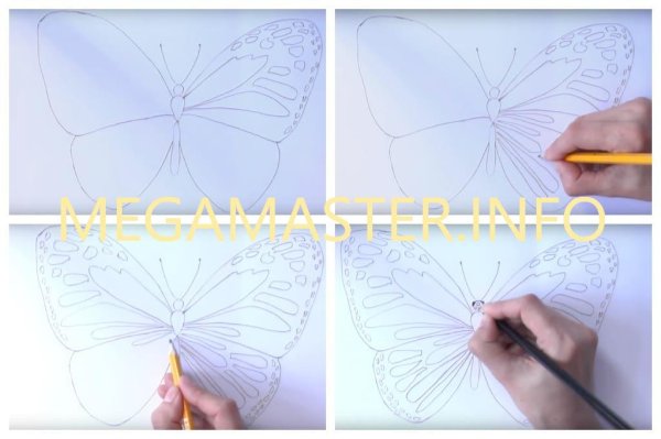 Детские рисунки бабочки карандашом