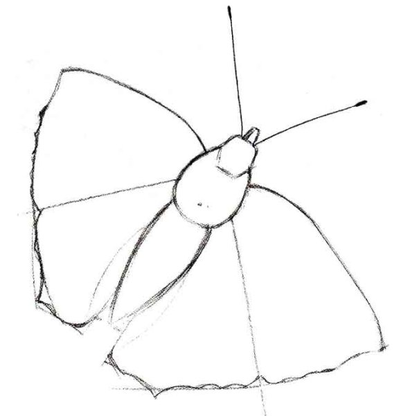 Этапы рисования бабочки для детей