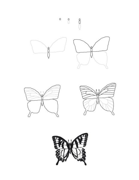 Симметрия бабочка карандашом