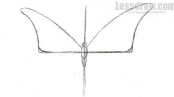 Симметричное рисование насекомые
