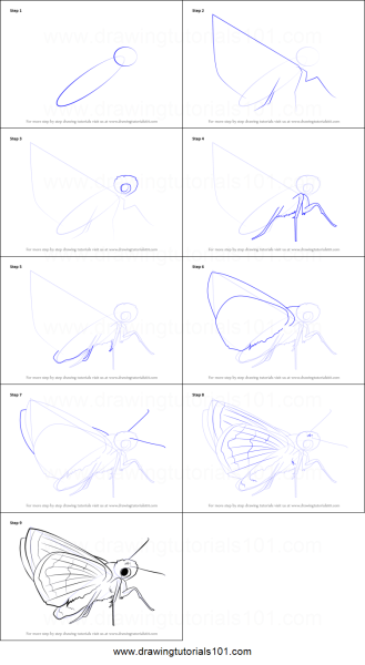 Бабочка рисунок карандашом поэтапно из листьев