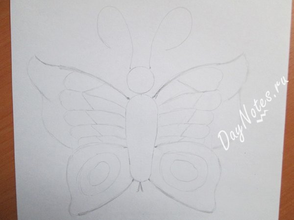 Нарисовать куколку бабочки поэтапно