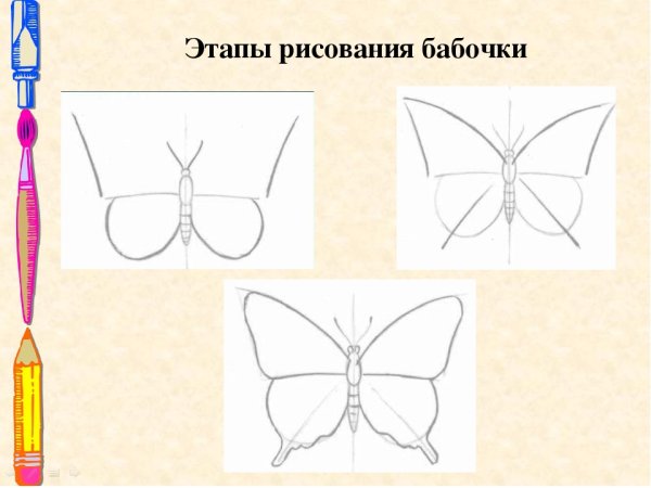 Нарисовать бабочку поэтапно карандашом