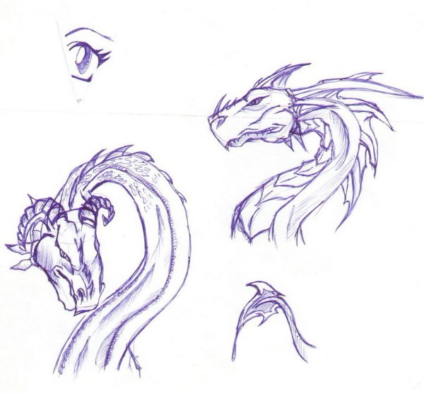Эскиз дракона поэтапно