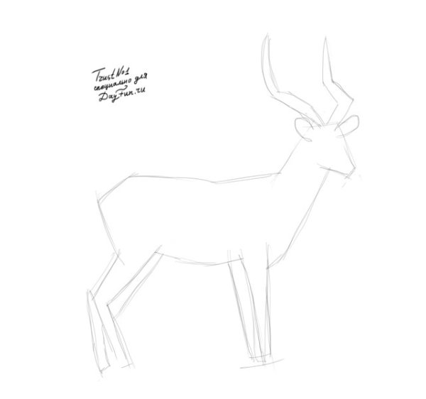 Как нарисовать Винилопу