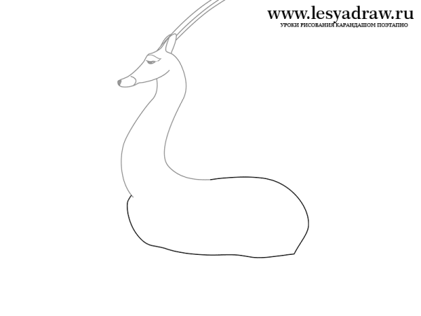 Как нарисовать антилопу поэтапно