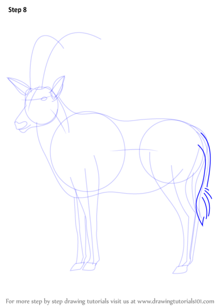 Схема рисования антилопы