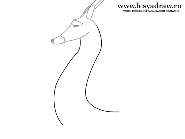 Антилопа рисунок карандашом поэтапно