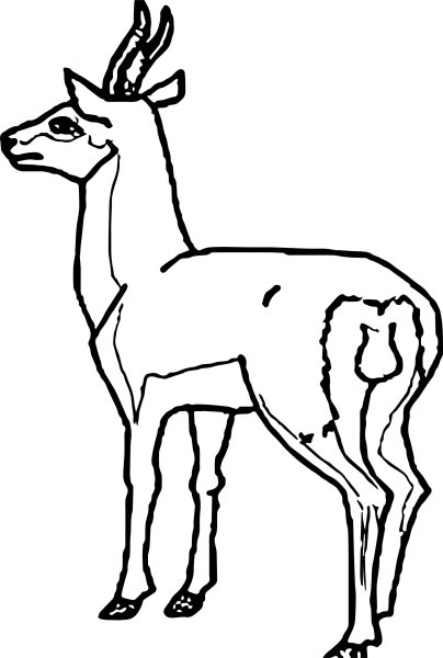 Антилопа набросок