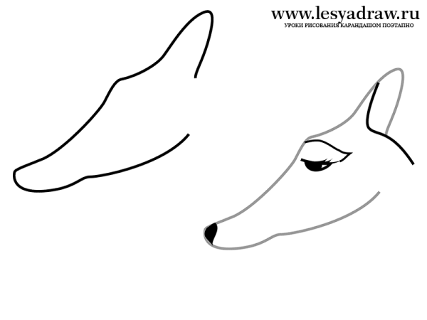 Нарисовать сайгака поэтапно