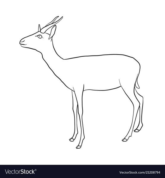 Схема рисования антилопы