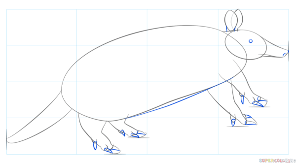 Броненосец рисунок поэтапно