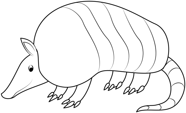 Броненосец раскраска для детей