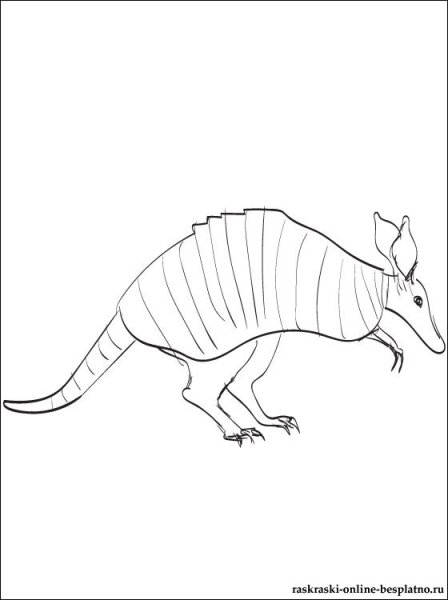 Броненосец раскраска