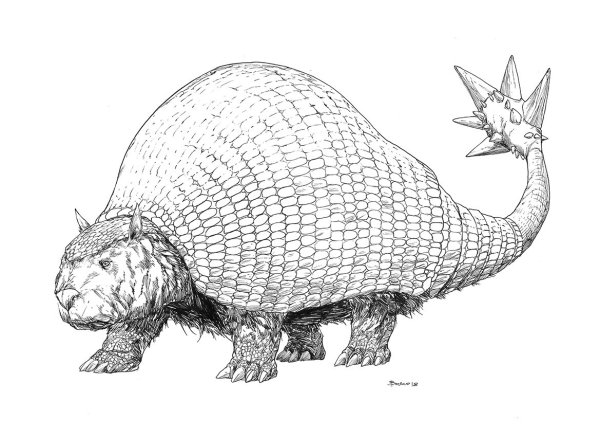 Броненосец Дедикурус