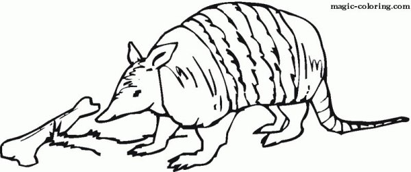 Броненосец из бумаги животное