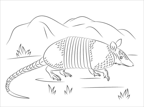 Киплинг броненосцы раскраска