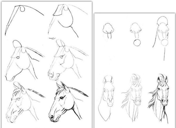 Наброски карандашом для начинающих поэтапно