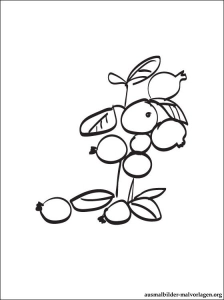 Клюква раскраска для детей