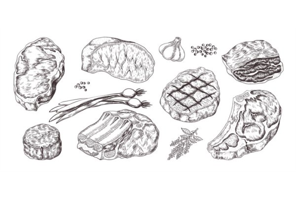 Стейк вектор скетч