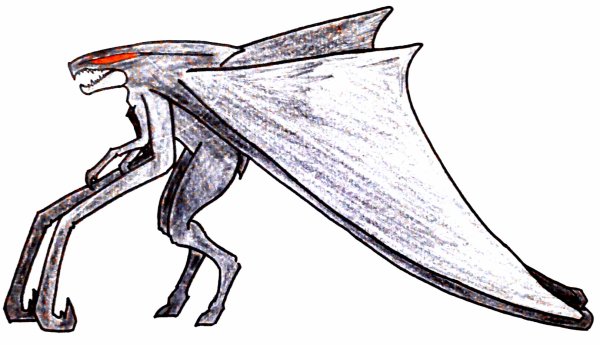 Муто Прайм самец