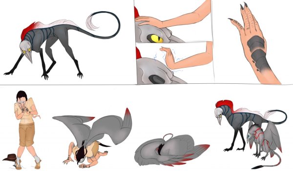 Раскраска насекомые Шмель