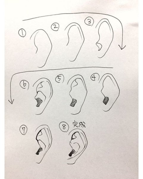 Поэтапное рисование уха