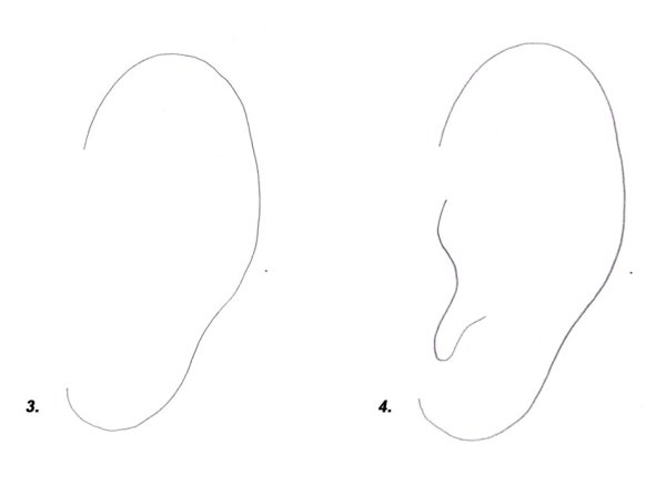 Поэтапное рисование ушей