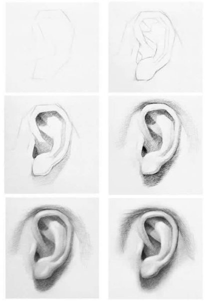 Ухо сзади референс