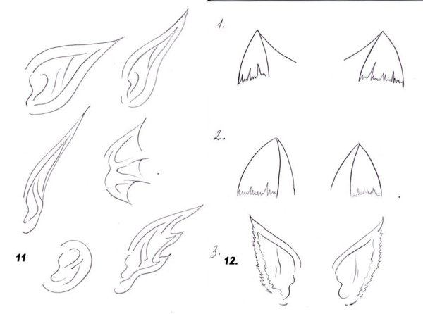 Ухо человека в три четверти