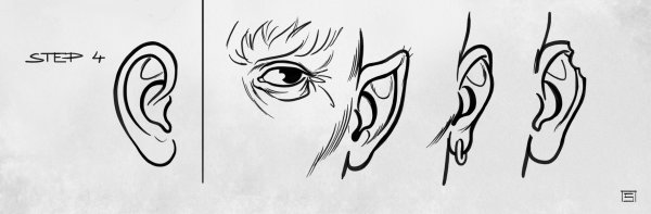 Уши лисы референс