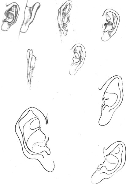 Рисовка ушей
