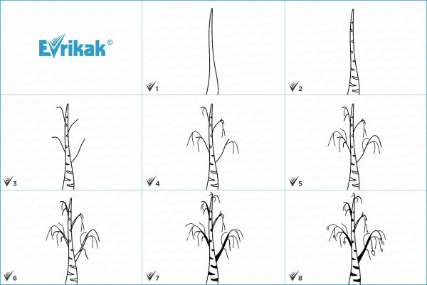 Схема рисования дерева для детей