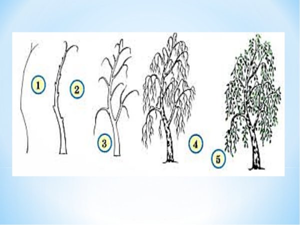 Поэтапное рисование дерева для детей