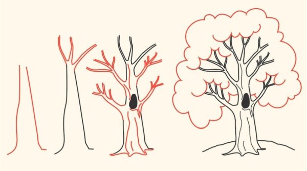 Сосна рисунок карандашом для детей