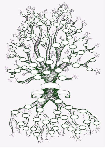 Семейное дерево раскраска