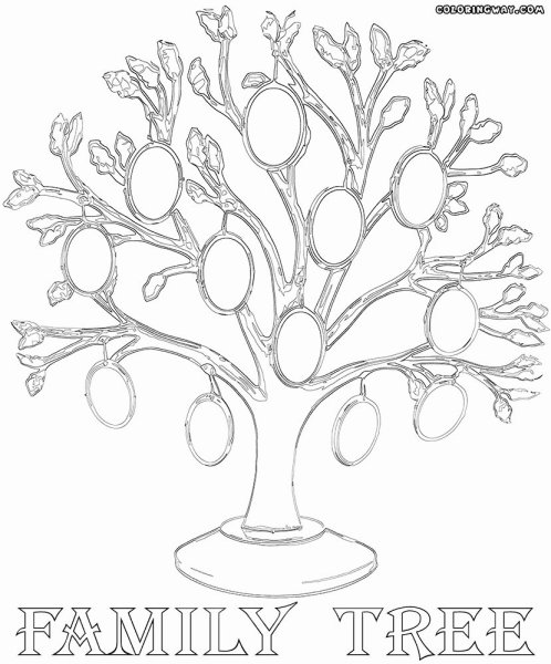 Родословное Древо Ругон-Маккаров