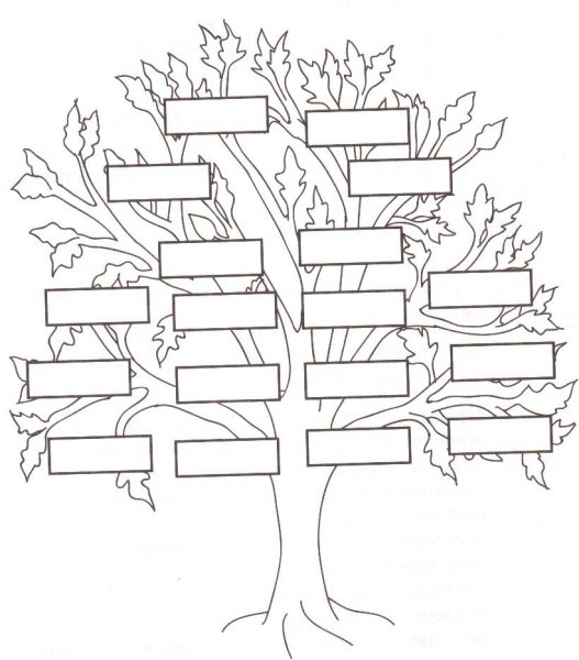Рисование генеалогического дерева
