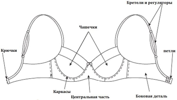 Конструкция бюстгальтера