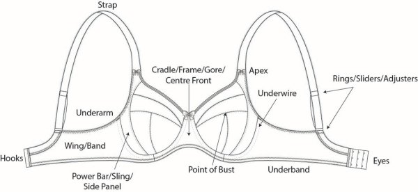Как рисовать бюстгальтер