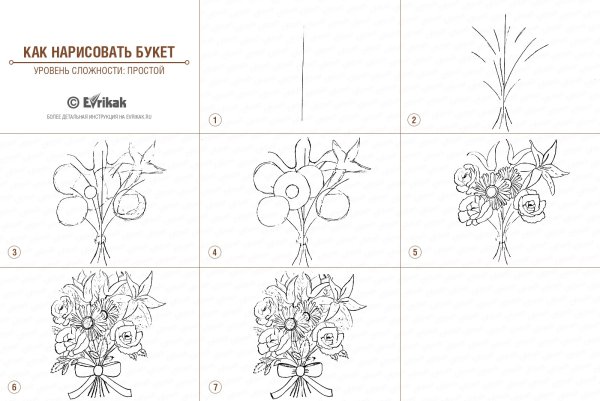 Последовательность рисования насекомых