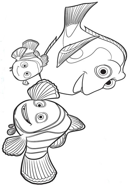 Рыбка дори сбоку