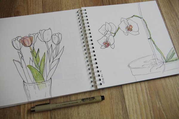 Рисунки в скетчбуке