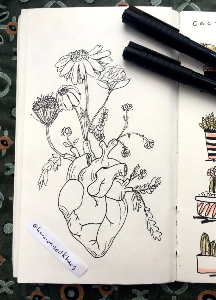 Рисунки для скетч букака