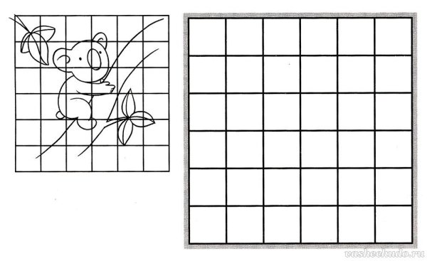 Клетки для рисования