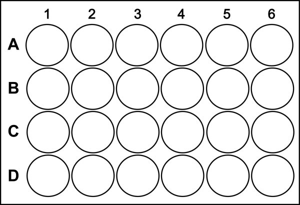 Сетка в кружочек