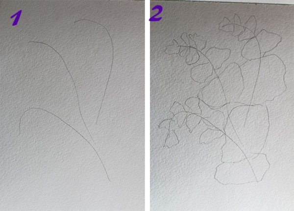 Этапы рисования сирени